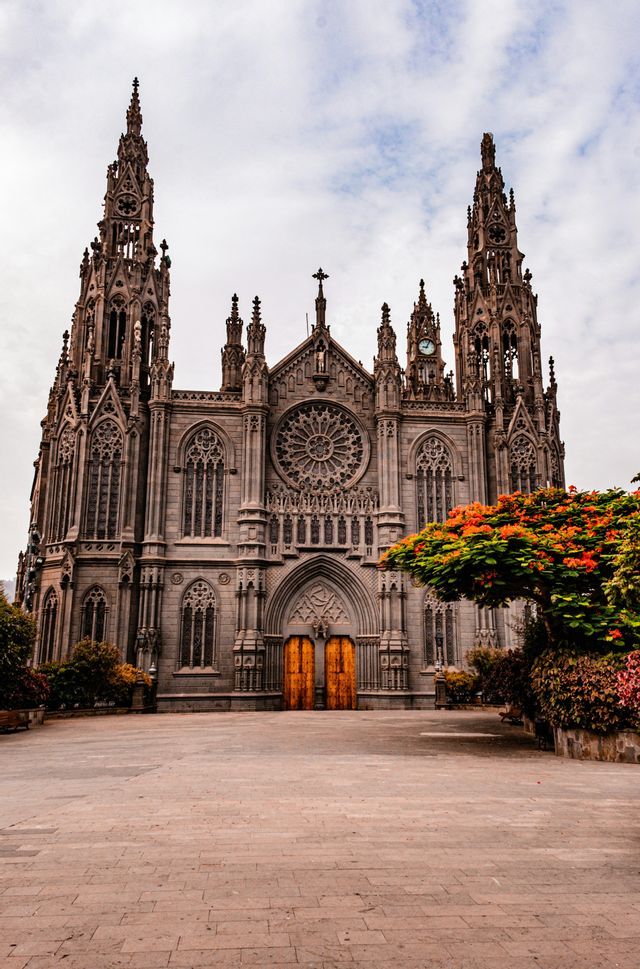 The ornate grey stone facade of a Gothic cathedral with spires, seen from a paved plaza with a flowering tree.