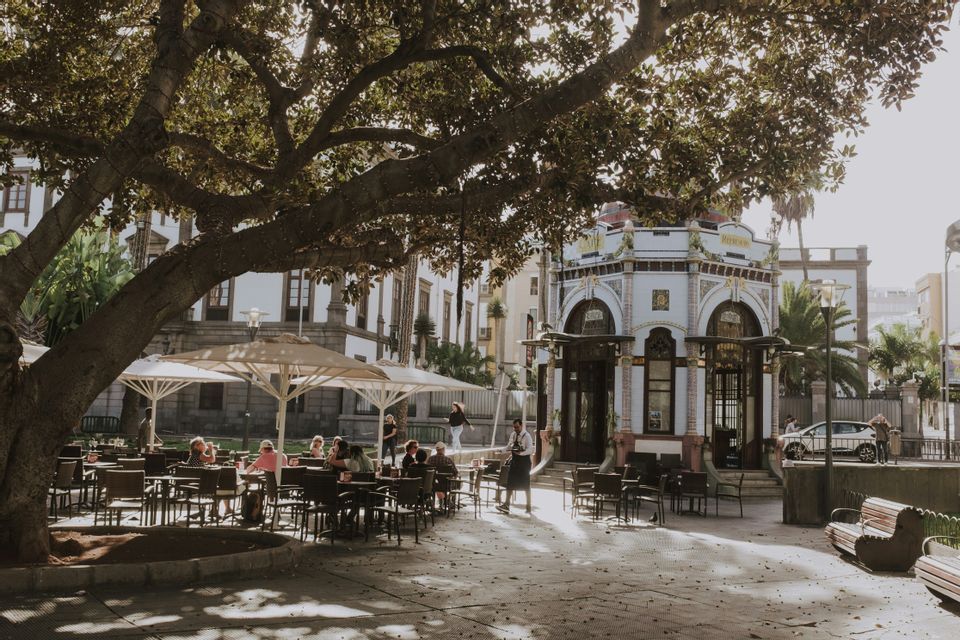 People sit at tables at an outdoor cafe in a sunlit plaza, with a large, leafy tree providing shade next to an ornate building.