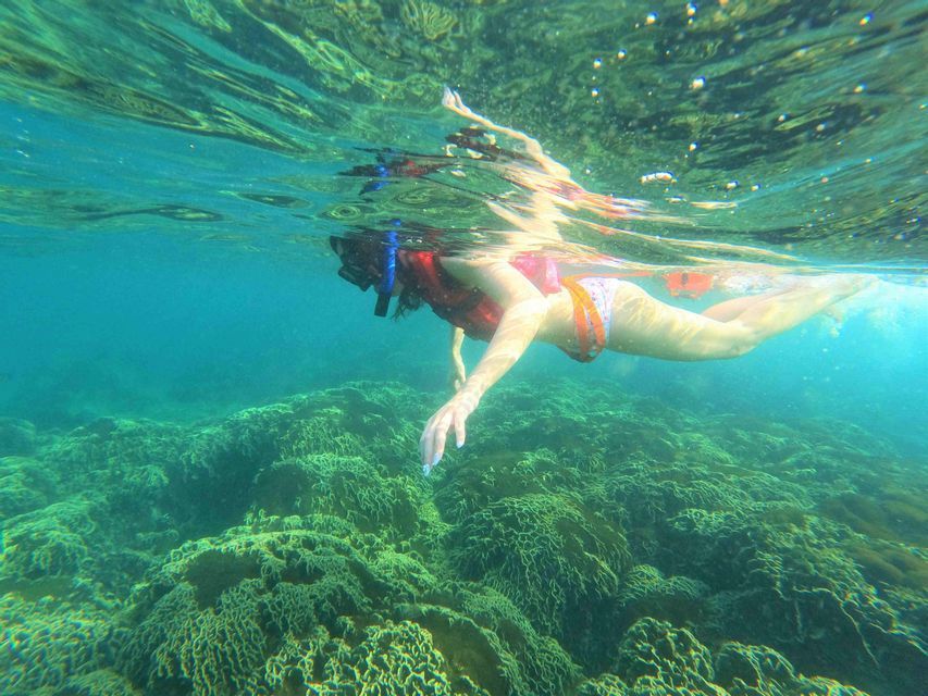 Una donna con maschera da snorkeling e giubbotto di salvataggio nuota sott'acqua sopra una barriera corallina verde.