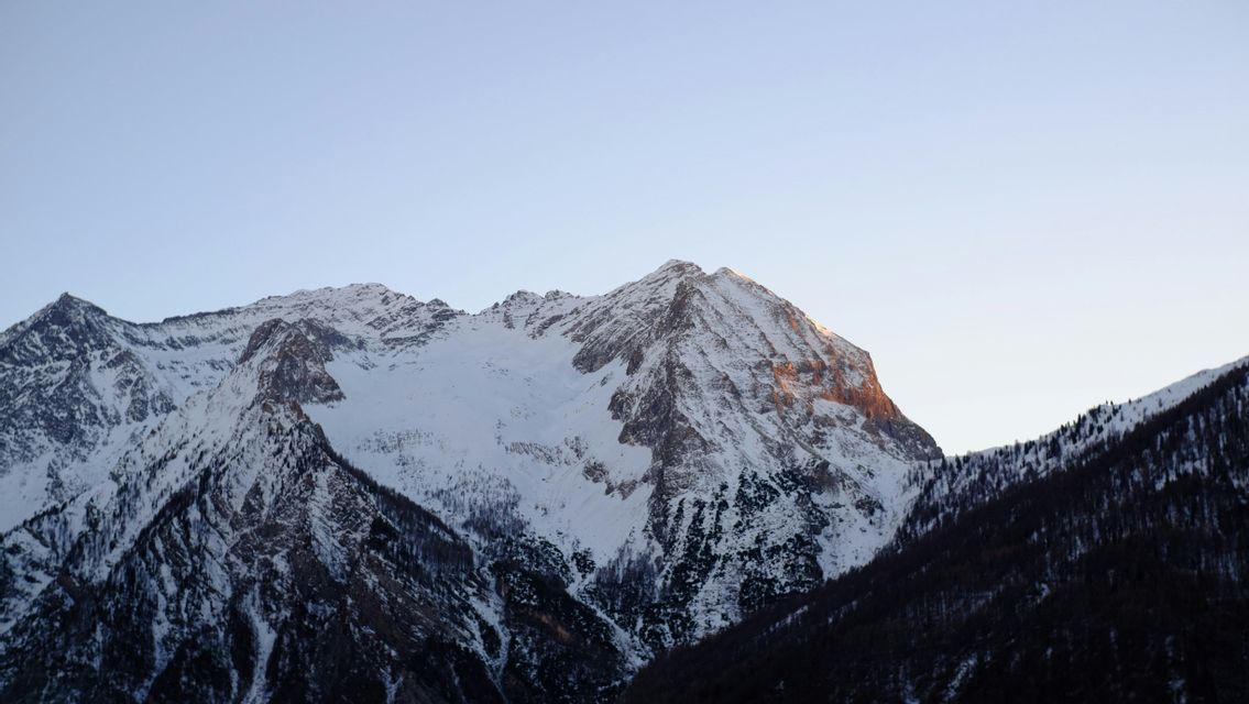Una vetta montuosa innevata si illumina della luce dorata dell'alba contro un cielo limpido, con scuri pendii boscosi in basso.