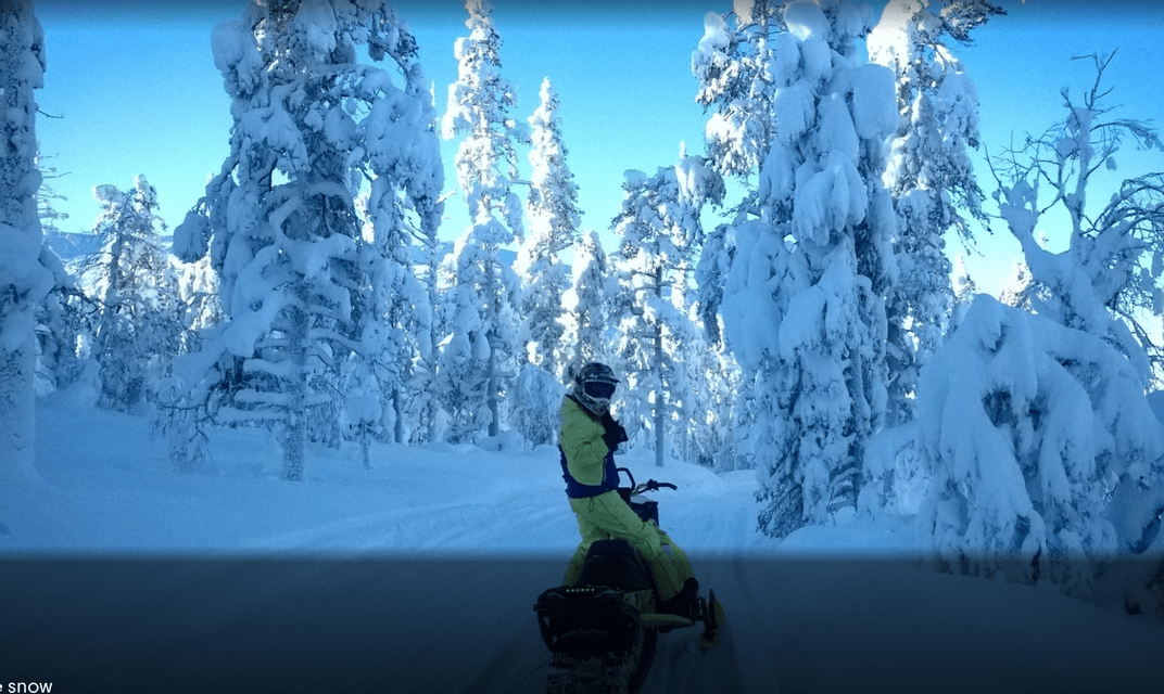 Una persona con una tuta da neve gialla su una motoslitta guarda indietro verso la fotocamera in una foresta di alberi innevati.