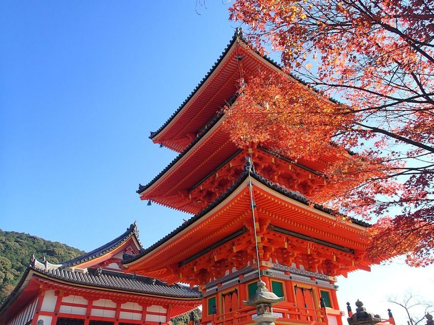 Una ripresa dal basso di una pagoda giapponese rossa a più livelli, con un albero che mostra il fogliame autunnale rosso sotto un cielo azzurro e limpido.