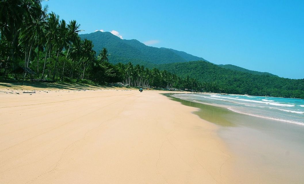 Una lunga spiaggia sabbiosa si estende lungo l'oceano, delimitata da una fila di palme e una montagna boscosa sotto un cielo azzurro e limpido.