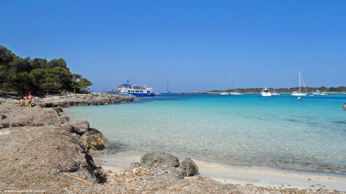 A tour boat and several sailboats are anchored in a calm bay with clear, turquoise water, seen from a rocky shoreline.