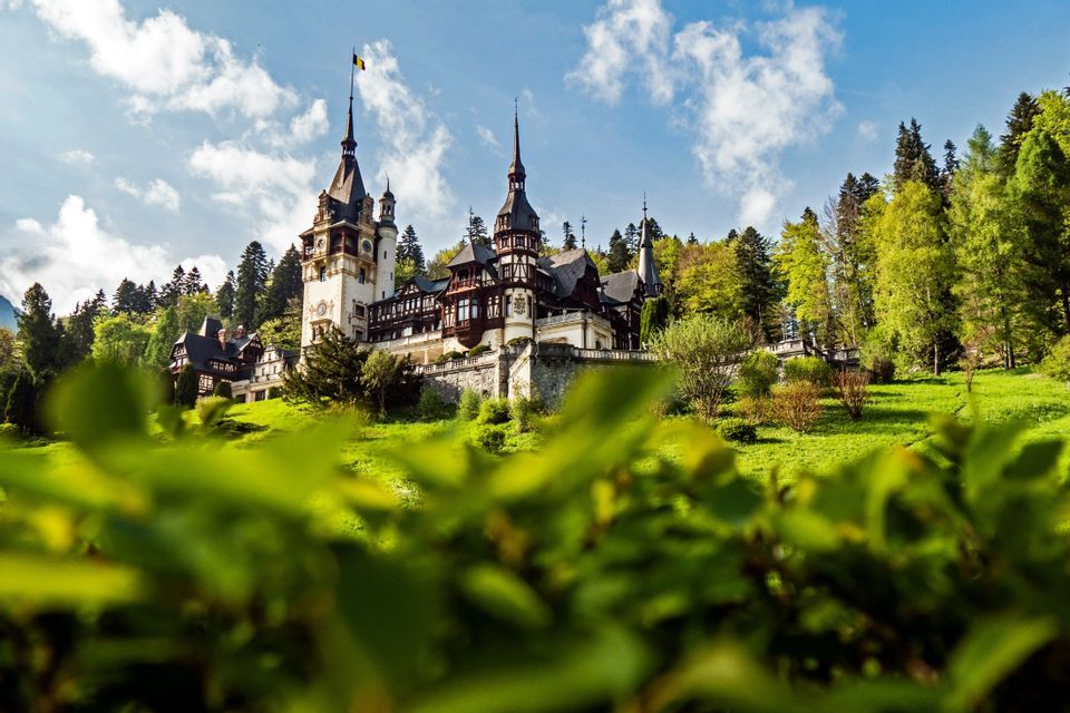 Un castillo ornamentado con múltiples agujas en una colina cubierta de hierba, rodeado por un denso bosque bajo un cielo azul y nublado, con hojas borrosas en primer plano.
