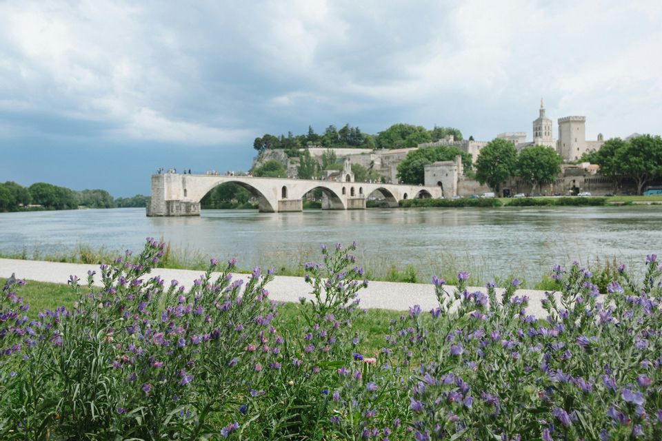 Lila Wildblumen im Vordergrund mit Blick auf eine historische Steinbrücke über einen Fluss und eine Stadt auf einem Hügel.