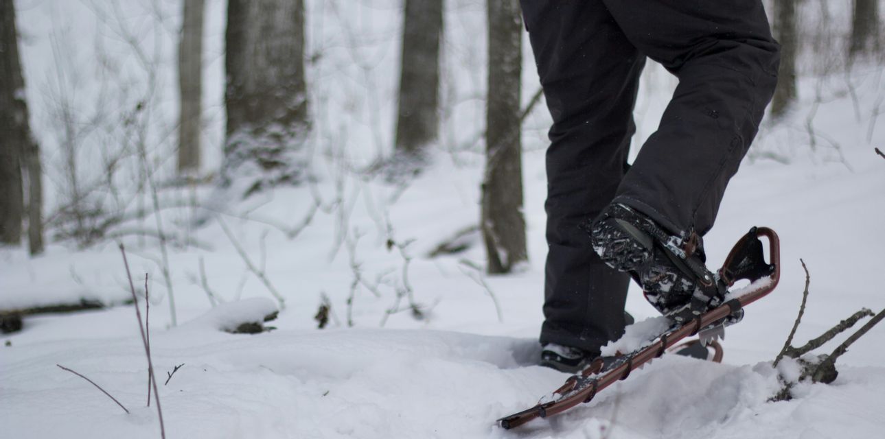 Primo piano delle gambe e dei piedi di una persona che indossa ciaspole mentre cammina attraverso una foresta innevata.
