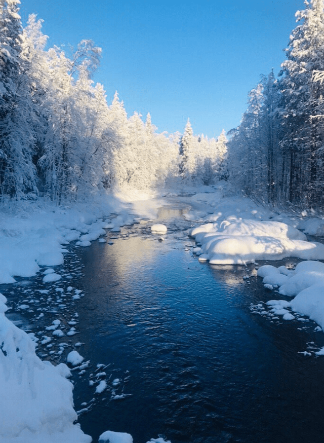 Un fiume blu scuro scorre attraverso una foresta con alberi e rive coperte di neve sotto un cielo azzurro limpido.