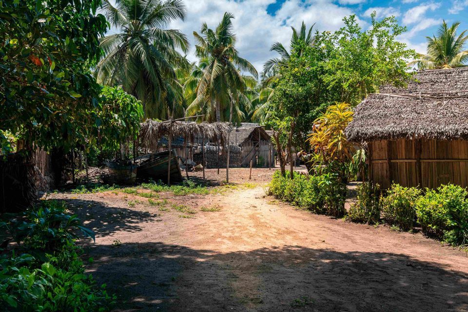 Un chemin de terre serpente à travers un village tropical avec des cabanes au toit de chaume et une barque en bois parmi de luxuriants palmiers.