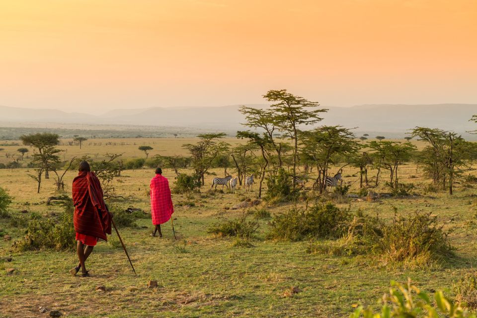 Zwei Massai in roten Gewändern stehen auf einer grasbewachsenen Savanne und beobachten Zebras zwischen Akazienbäumen während eines goldenen Sonnenuntergangs.