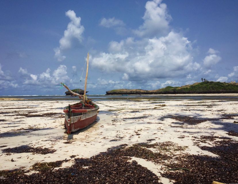 Un velero de madera descansa en una playa arenosa cubierta de algas marinas durante la marea baja bajo un cielo nublado.
