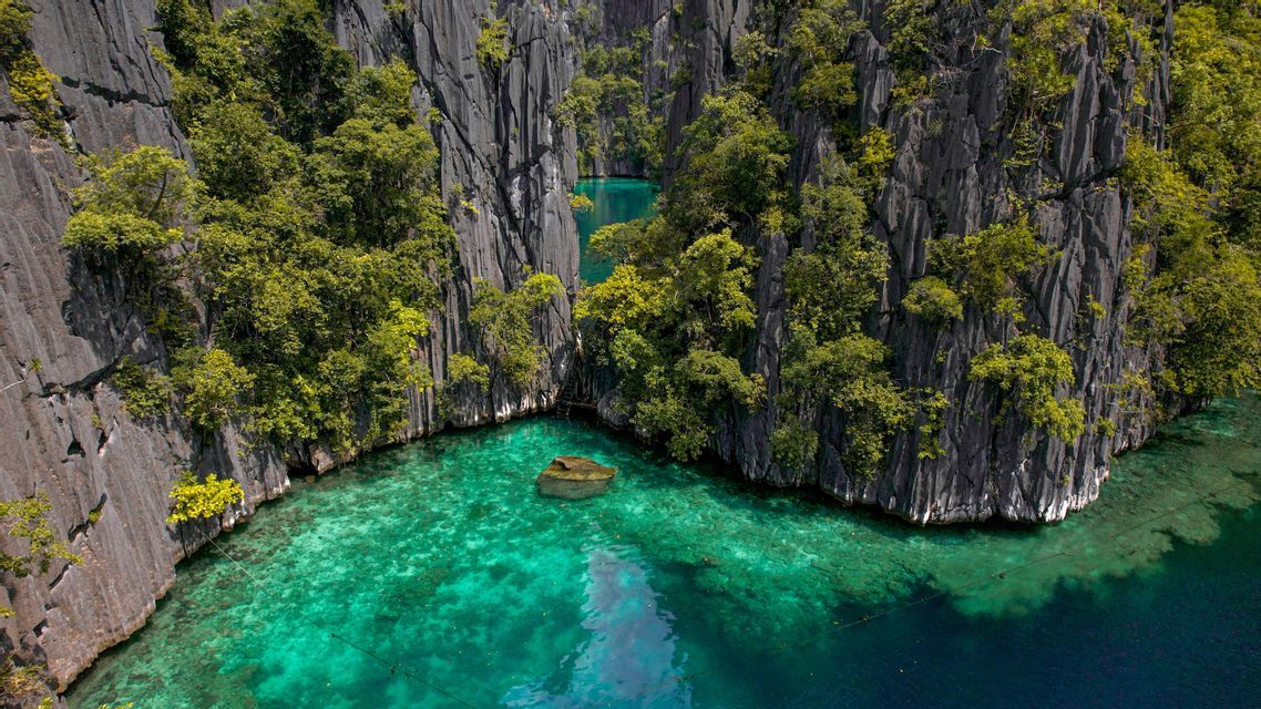 Una vista aerea di una caletta appartata con acqua cristallina e turchese, circondata da imponenti scogliere rocciose ricoperte di alberi.