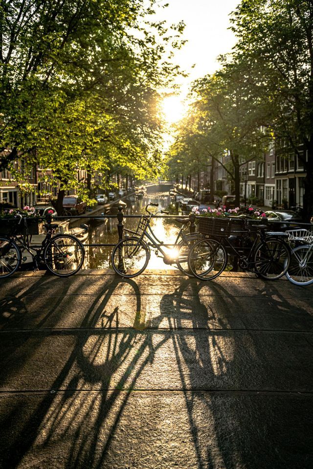 Des vélos stationnés sur un pont au-dessus d'un canal projettent de longues ombres sur le pavé, sous le soleil bas et éclatant.