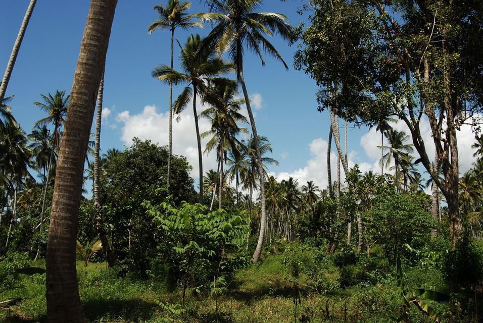 Zanzibar: beach life e island discovery