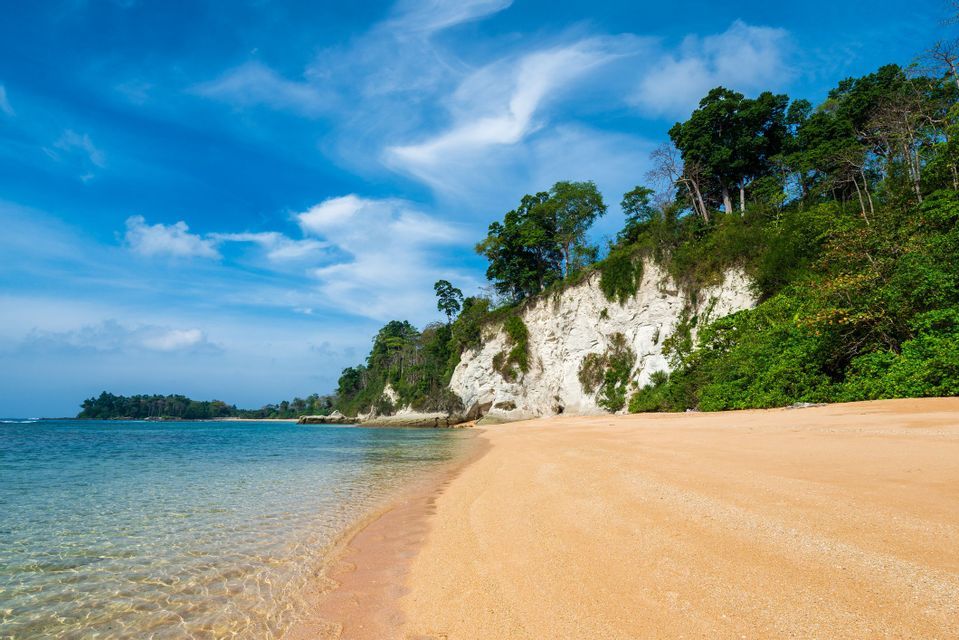 Una spiaggia sabbiosa con acqua cristallina si estende lungo una scogliera bianca sormontata da alberi verdi lussureggianti sotto un cielo azzurro brillante.