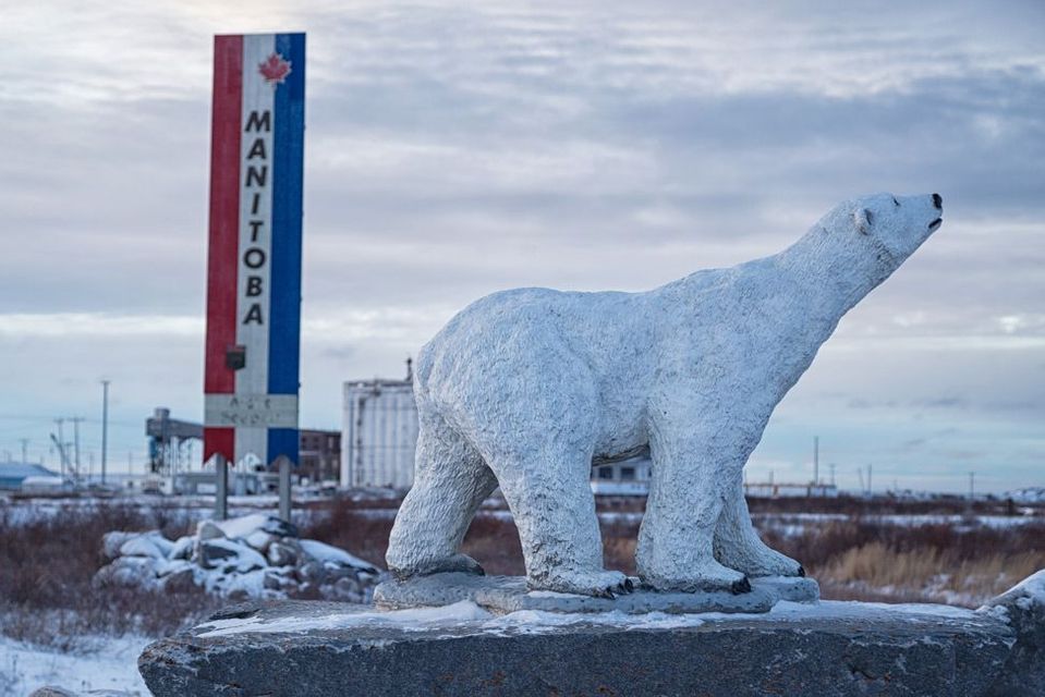 Una statua bianca di orso polare si erge su una roccia innevata davanti a un'alta insegna del Manitoba, Canada.