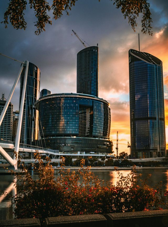 Un horizonte urbano moderno con rascacielos de cristal y un puente reflejado en un río al atardecer, enmarcado por hojas.