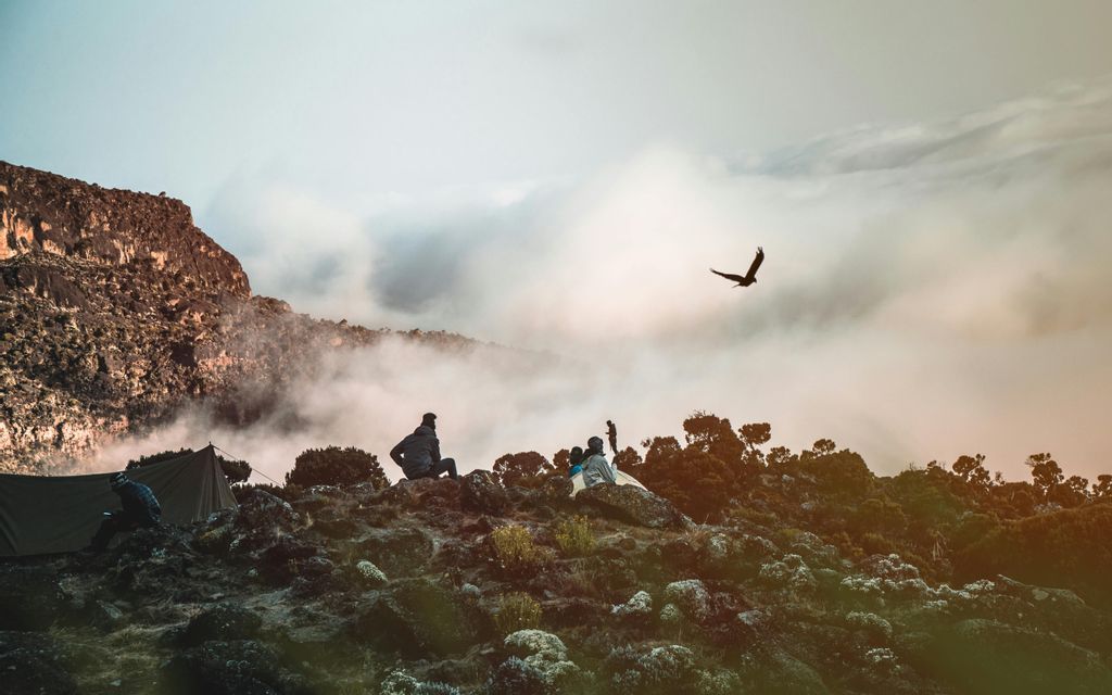 Un viaje en grupo de WeRoad descansa en un campamento de montaña, observando las nubes con un gran pájaro volando por encima.
