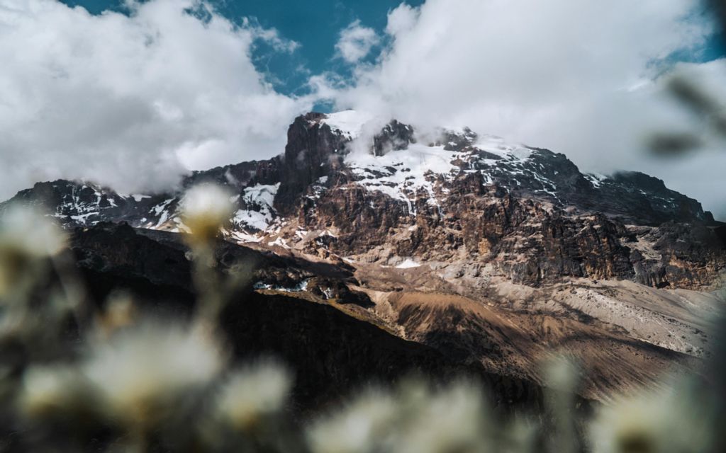 Un pico de montaña rocoso y cubierto de nieve se eleva hacia un cielo nublado, con flores silvestres blancas difuminadas en primer plano.