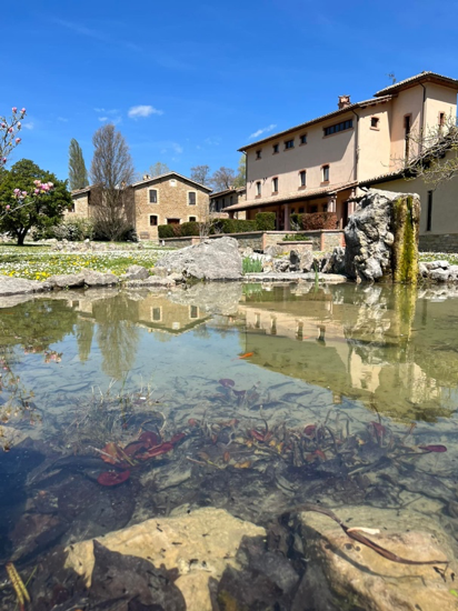 Una vista dal bordo di uno stagno limpido che mostra il suo fondo roccioso e il riflesso di edifici in pietra e alberi.
