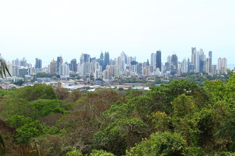 A modern city skyline with numerous skyscrapers seen from above a lush, green forest canopy under an overcast sky.