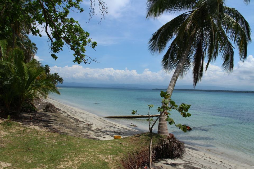A tropical beach scene with a palm tree leaning over the turquoise ocean and white sand.