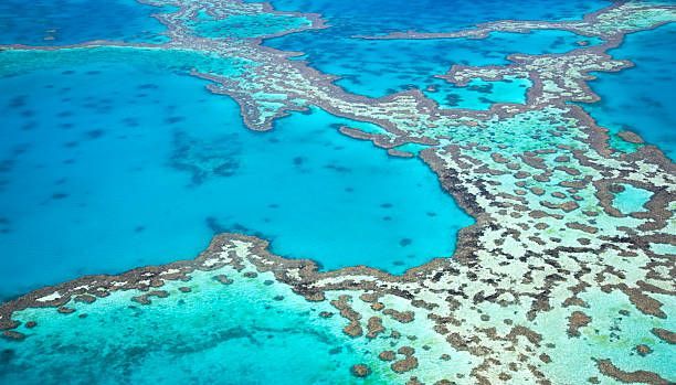 Una vista aérea de un gran sistema de arrecifes de coral con patrones intrincados, rodeado de agua oceánica turquesa y azul profundo.