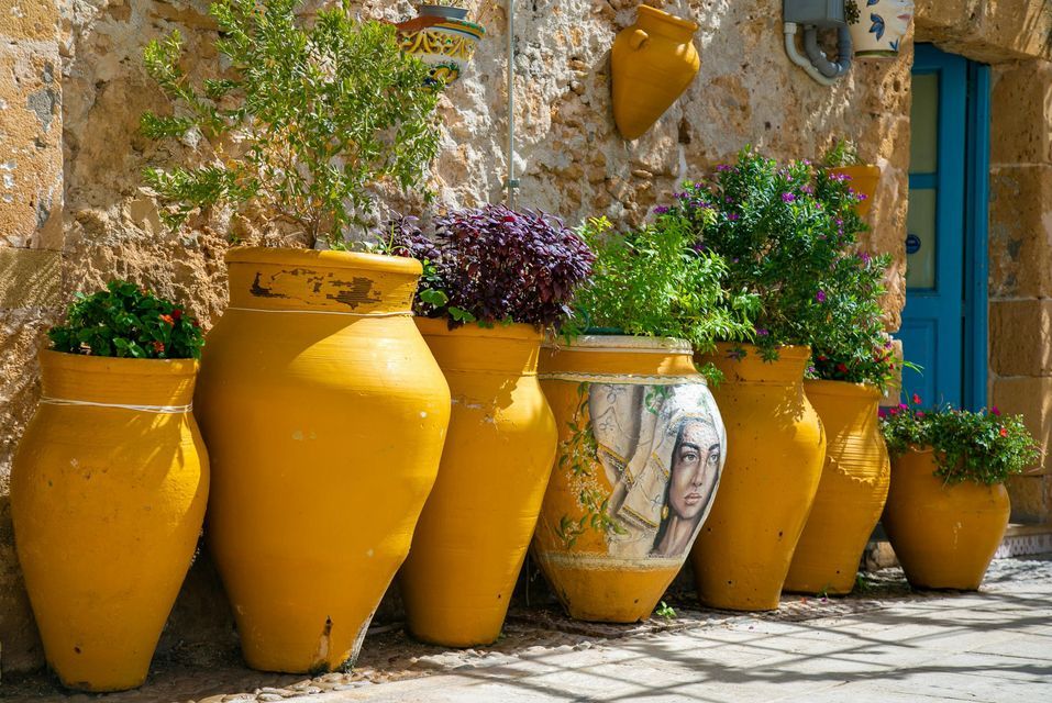 Grandi vasi di ceramica gialli con piante sono allineati contro un muro di pietra, con un vaso decorato con un ritratto dipinto.