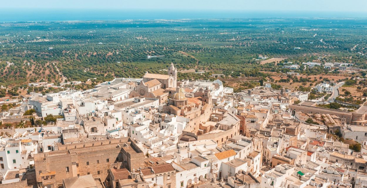 Veduta aerea di una città storica con edifici bianchi e una cattedrale centrale, circondata da un vasto paesaggio di alberi verdi e il mare.