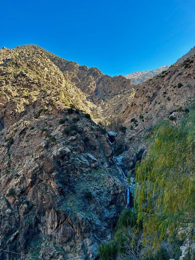 Una cascada desciende por un barranco escarpado y rocoso en una cordillera soleada bajo un cielo azul claro, con un sauce en primer plano.
