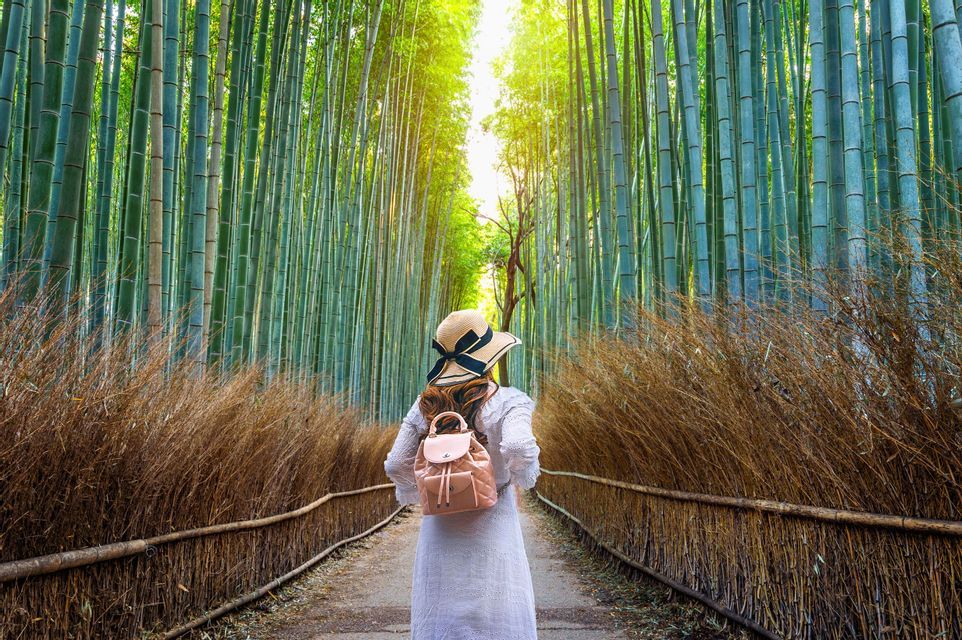 Una donna, di spalle, con un abito bianco e un cappello, cammina su un sentiero in una fitta foresta di bambù verde.