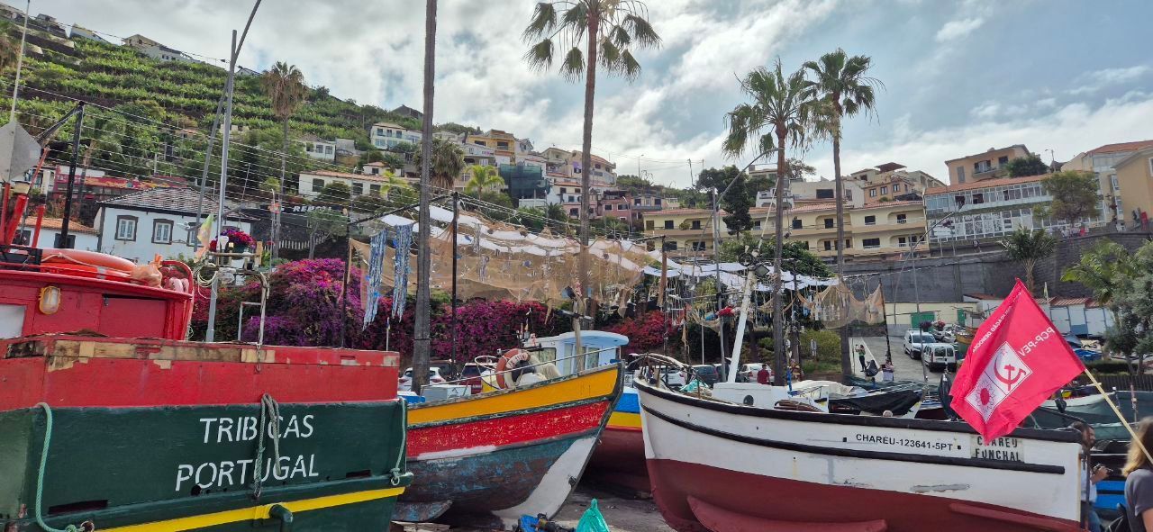 Coloridos barcos de pesca reposan en la orilla de un pueblo costero con casas en una ladera aterrazada bajo un cielo nublado.