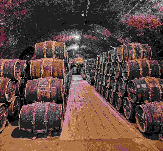 Filas de barriles de madera se apilan para añejar en una larga bodega de vinos con arcos de piedra y una pasarela de madera.