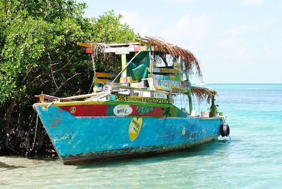 Un bateau aux couleurs vives avec des panneaux et un toit de chaume est amarré dans des eaux turquoises peu profondes, près d'un littoral luxuriant.