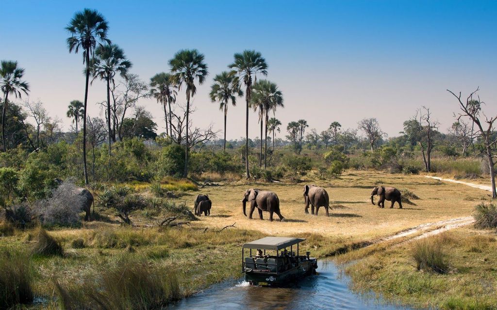 Un viaggio di gruppo WeRoad a bordo di un veicolo anfibio da safari osserva una mandria di elefanti su una savana erbosa con palme.