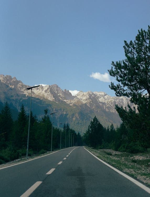 Una strada asfaltata che attraversa una fitta pineta verso montagne innevate sotto un cielo azzurro.