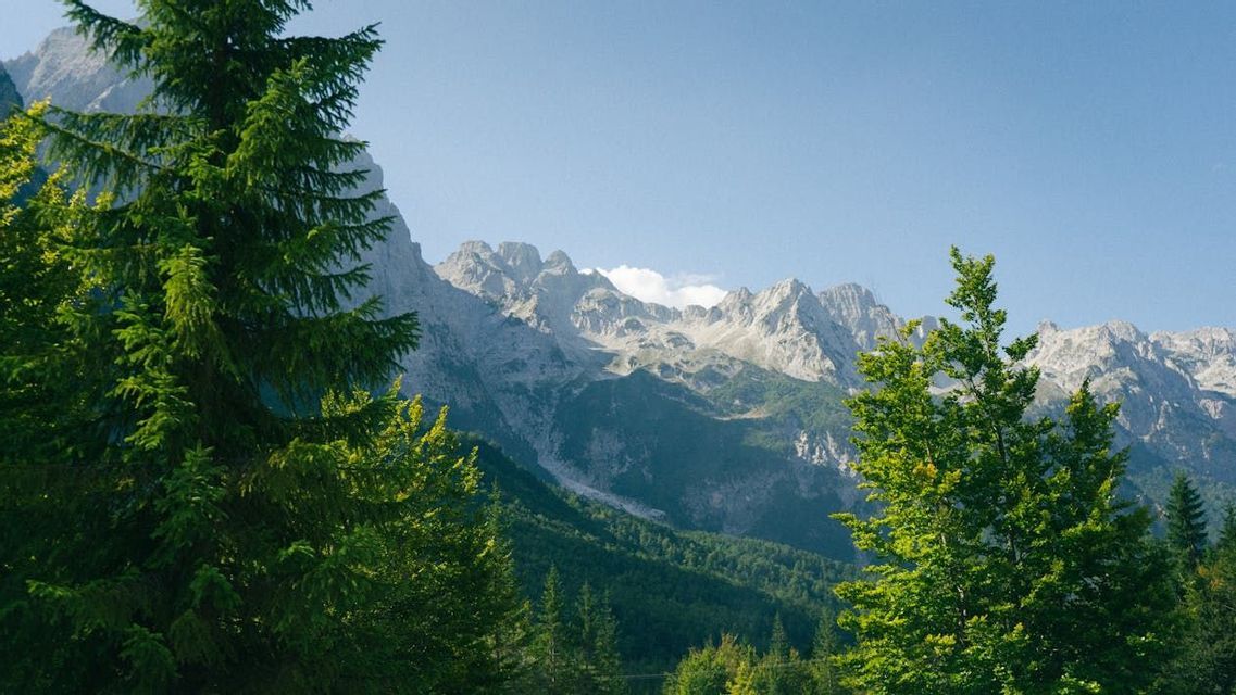 Una catena montuosa rocciosa con pendii boscosi vista attraverso pini verdi sotto un cielo azzurro limpido.