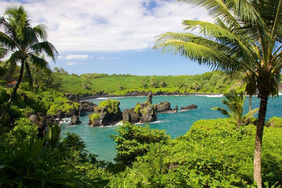 Ein Blick auf eine tropische Bucht mit türkisfarbenem Wasser und schwarzen Vulkanfelsen, umgeben von üppiger grüner Vegetation und Palmen unter einem teilweise bewölkten Himmel.