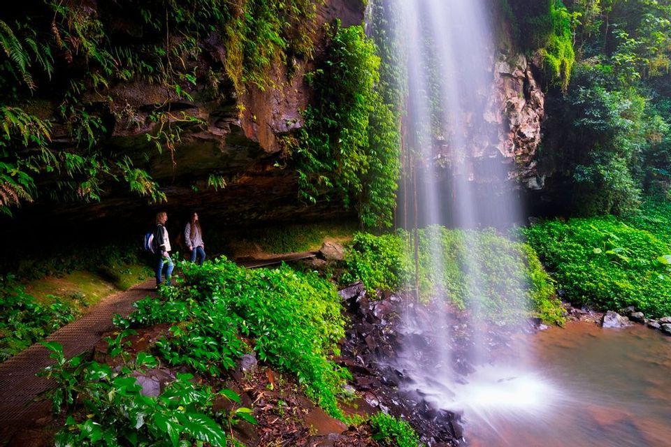 Dos personas de pie en un sendero estrecho detrás de una gran cascada en una gruta cubierta de exuberantes plantas verdes.