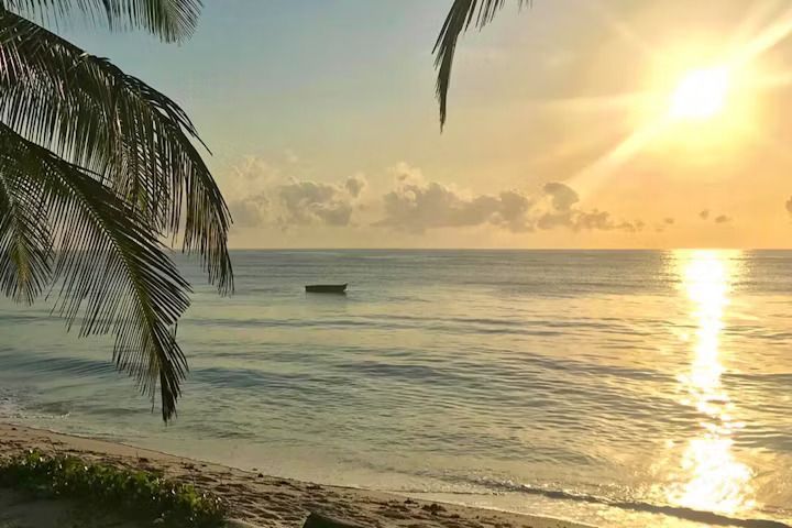 Un barco solitario flota en aguas tranquilas del océano al amanecer, con el sol reflejándose en la superficie y frondas de palmera encuadrando la vista.