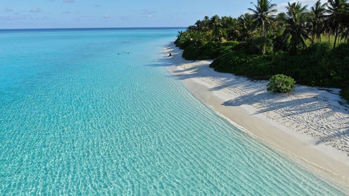 Una vista aérea de una playa tropical con arena blanca, agua turquesa cristalina y una hilera de palmeras verdes.
