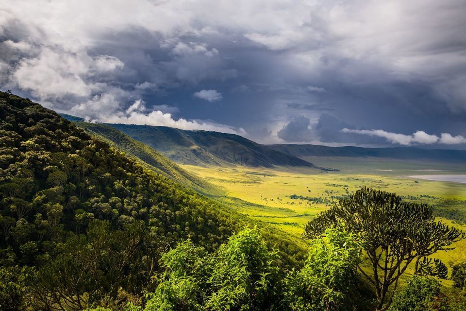 Tanzania Adventure