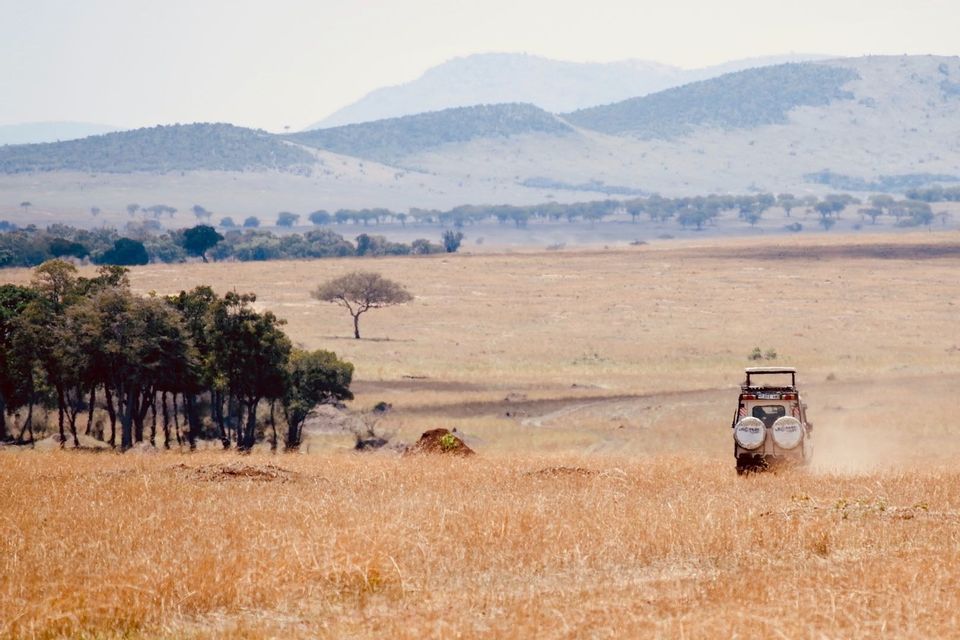 A safari jeep drives through a vast golden grassland with hazy hills in the background.