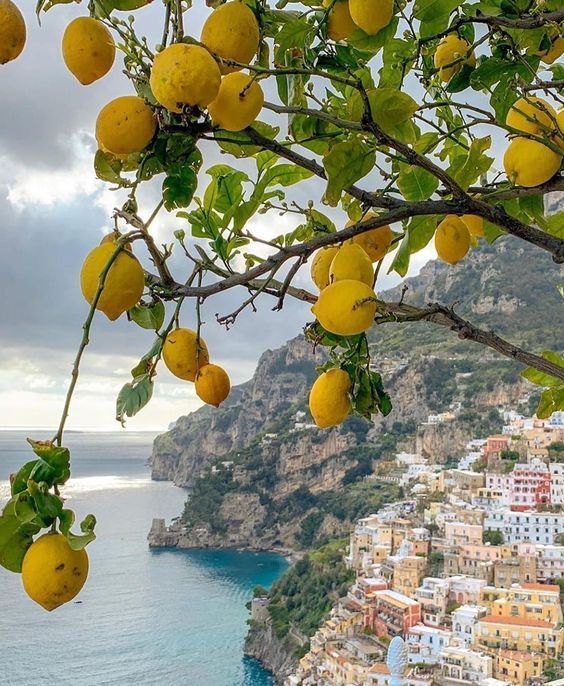 Un ramo di limone con limoni gialli maturi si affaccia su un colorato villaggio costruito nella scogliera lungo il mare.
