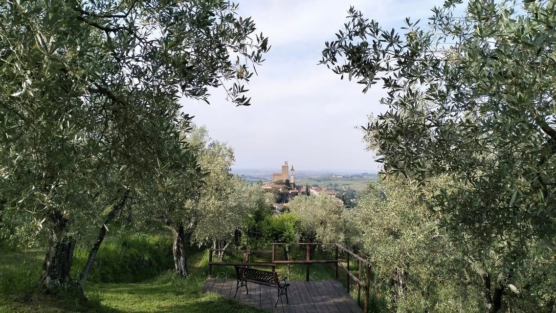 Un punto panoramico con una panchina tra gli ulivi si affaccia su un lontano borgo collinare con una torre campanaria.