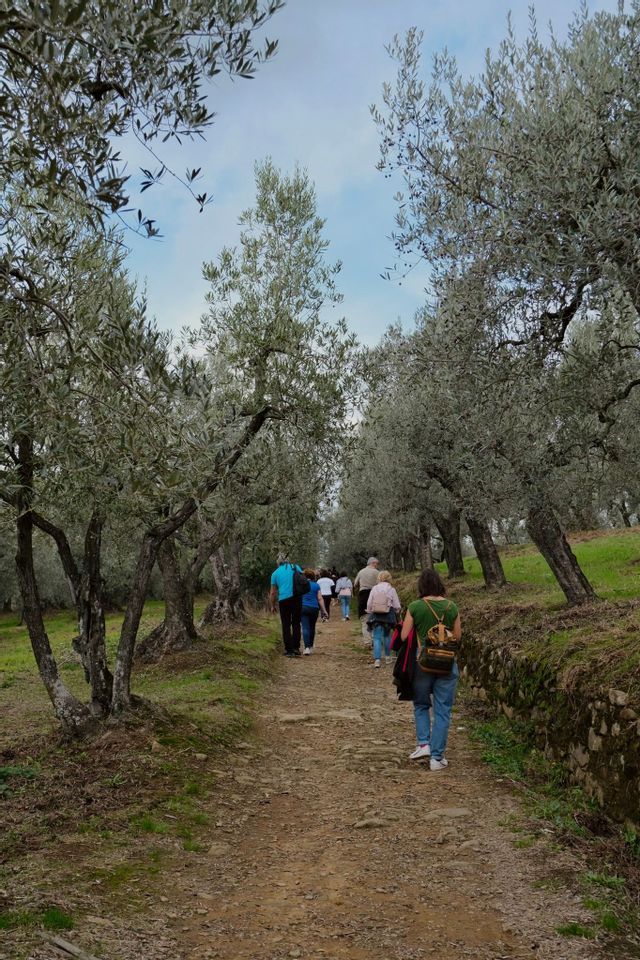 Un viaggio di gruppo WeRoad percorre un sentiero sterrato attraverso un uliveto sotto un cielo nuvoloso.