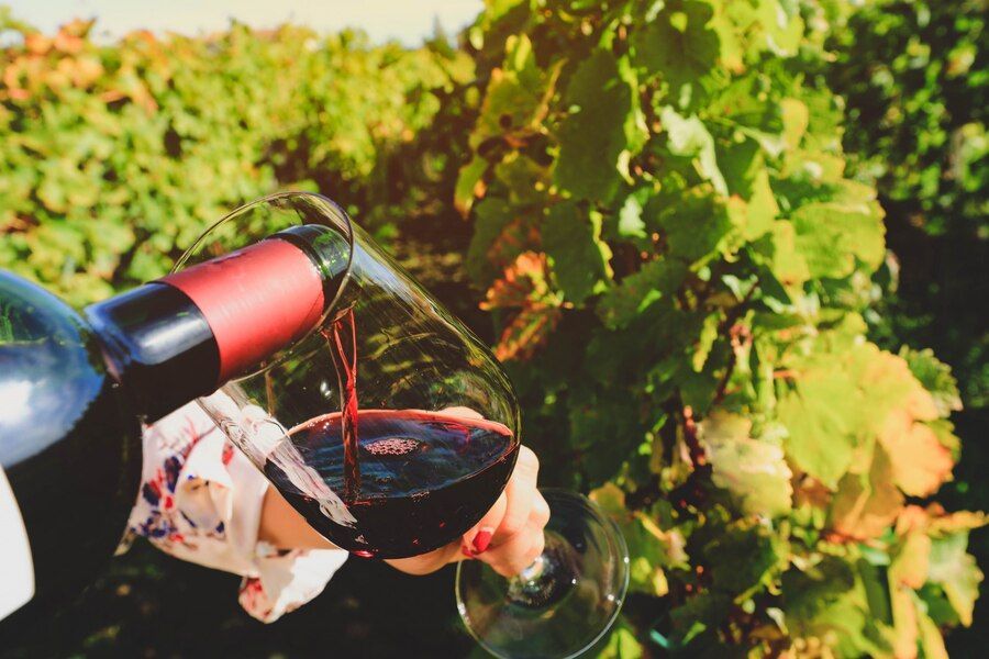 Una persona versa vino rosso da una bottiglia in un bicchiere, con un vigneto illuminato dal sole sullo sfondo.