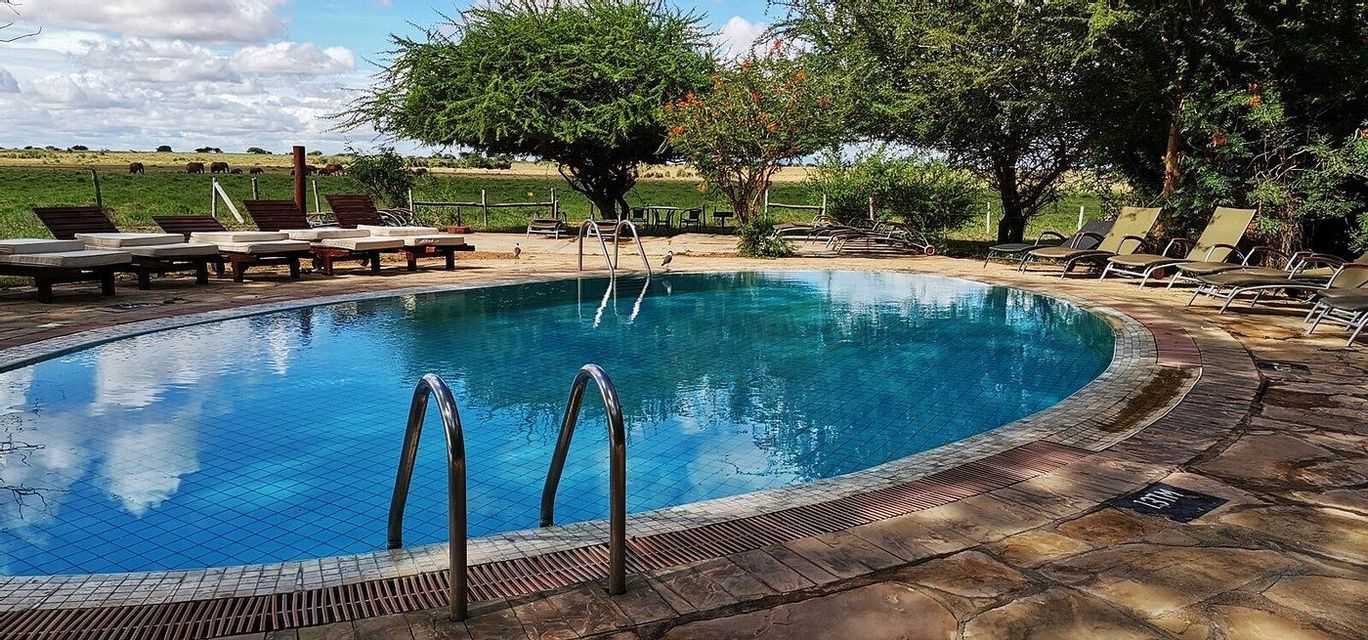 Una piscina exterior con tumbonas con vistas a una sabana donde una manada de elefantes pasta en la distancia.