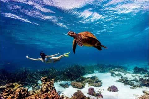 Una mujer con esnórquel y aletas nada junto a una tortuga marina en aguas cristalinas sobre un arrecife de coral.