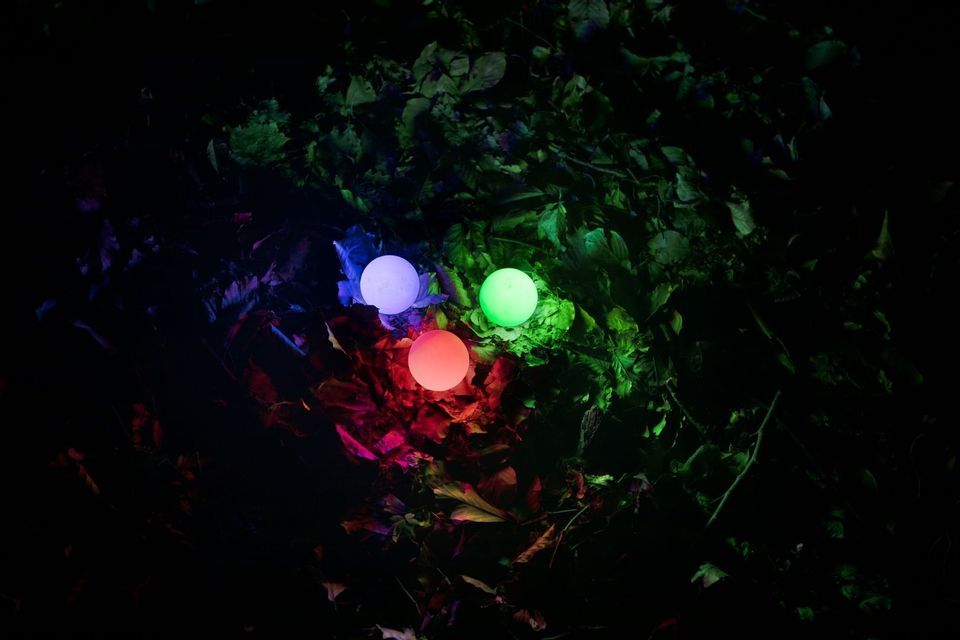 Tre sfere luminose, rosse, blu e verdi, illuminano un letto di foglie a terra nell'oscurità.